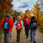 IMG_20181117_103339 (2)