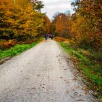 IMG_20181117_110025-1