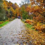 IMG_20181117_110049-1