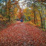 IMG_20181117_110157-01