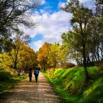 IMG_20181117_111450-1