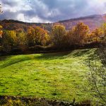 IMG_20181117_111951-1