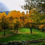 IMG_20181117_112239-1