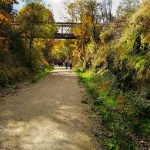 IMG_20181117_112826-1