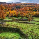 IMG_20181117_113233-01
