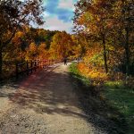 IMG_20181117_115145_1-1