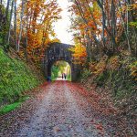 IMG_20181117_120620-01