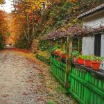 IMG_20181117_121122-01