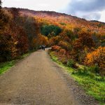 IMG_20181117_121341-1