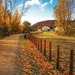 IMG_20181117_122100-01