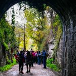 IMG_20181117_130034-1
