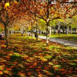 IMG_20181117_133237-1