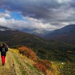 IMG_20181117_143756-1