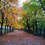 IMG_20181117_173848